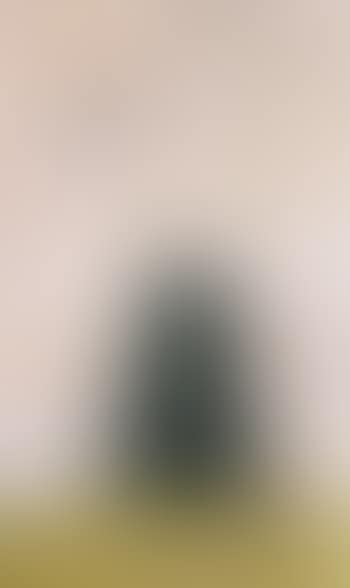 Dog mother as illusion (preview)