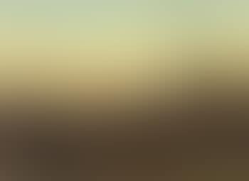 Morning in the desert near Assuan (preview)