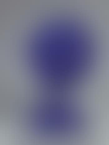 La terre bleue (preview)
