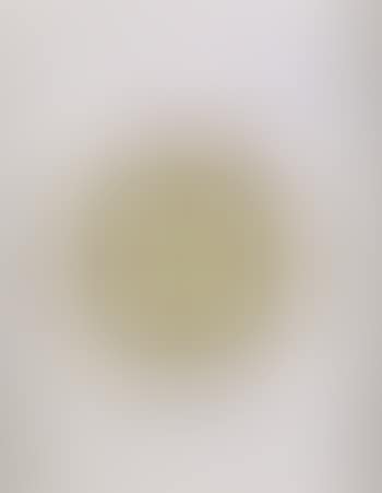 Early work No 4 (preview)