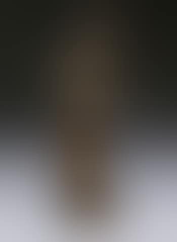 Woman playing mandolin (preview)