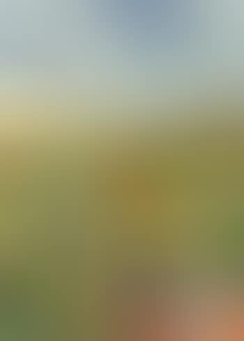 Autumn over the hills (preview)