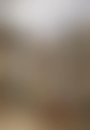 Old Rouen, Normandy. Halle aux draps (preview)
