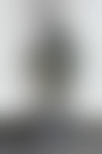 Le messager (preview)