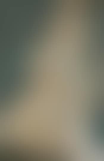 Study for tanpura player (preview)