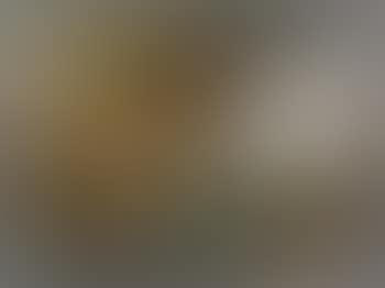Die tolle grethe (preview)