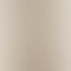 Abstract, portrait of ZOS, when young (preview)