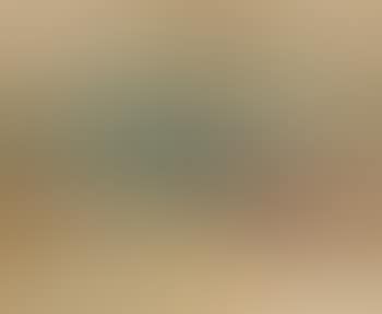 Mountain landscape (preview)