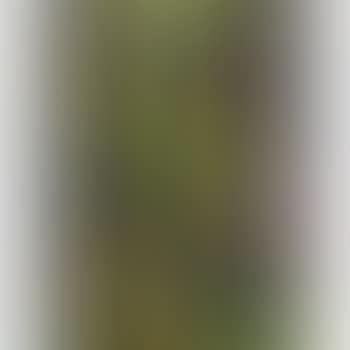 Woman at window (preview)