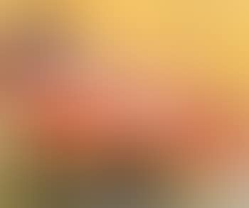 Reclining nude (preview)
