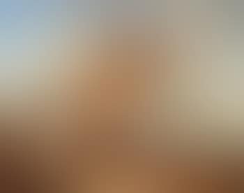 Arab horse with an oriental groom (preview)