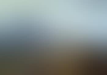 Landscape (preview)