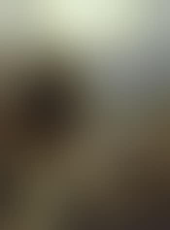 Mountain landscape with river (preview)