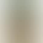 On the Via Flaminia near the Villa Cavalieri (preview)