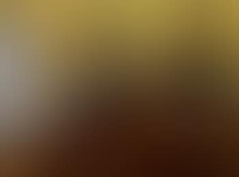 Yellow room (preview)