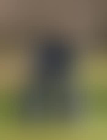 Projet pour un monument (preview)