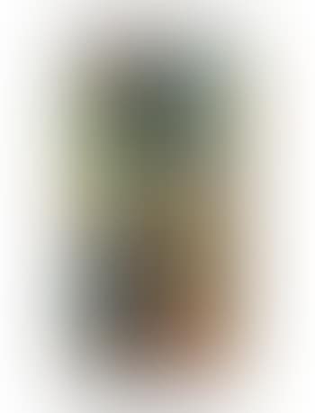 Untitled (preview)