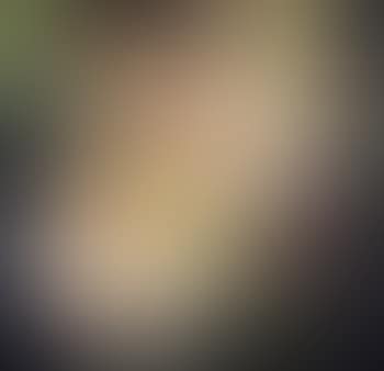 Untitled, yellow flowers (preview)