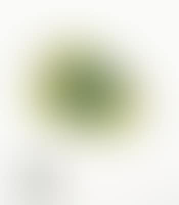 Untitled, dream for this cause which stained us (preview)