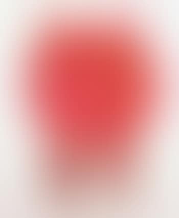 Walrus, red (preview)