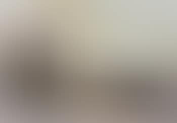 Big reclining nude (preview)
