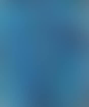 Blue flip (preview)