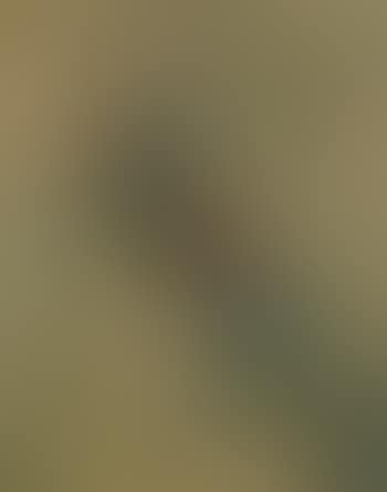 Composition (preview)