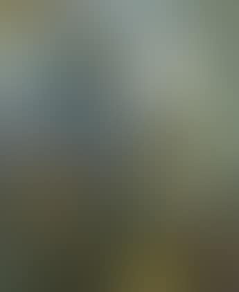 Petit arbre (preview)