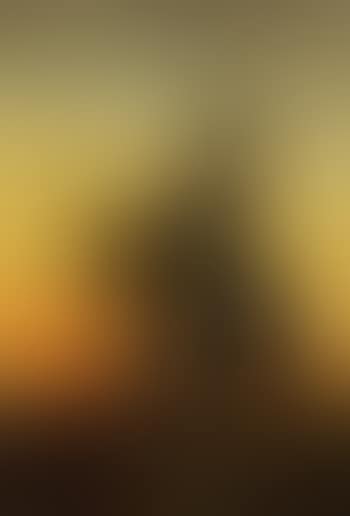 Young harvester returning home on horseback (preview)