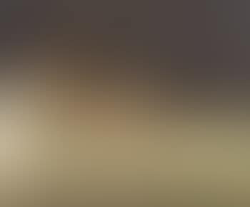 Scantily dressed woman reclining on sofa (preview)