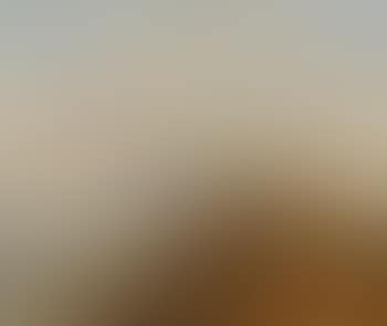 Coastal landscape with thatched houses (preview)
