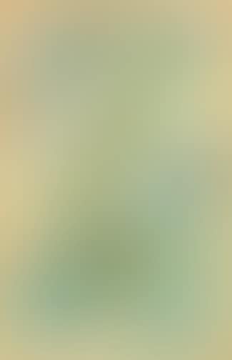 Chinese landscape (preview)