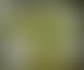 Yellow still life (preview)