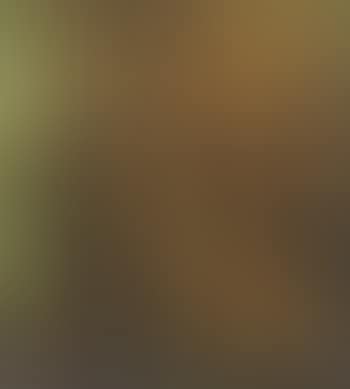 Composition (preview)