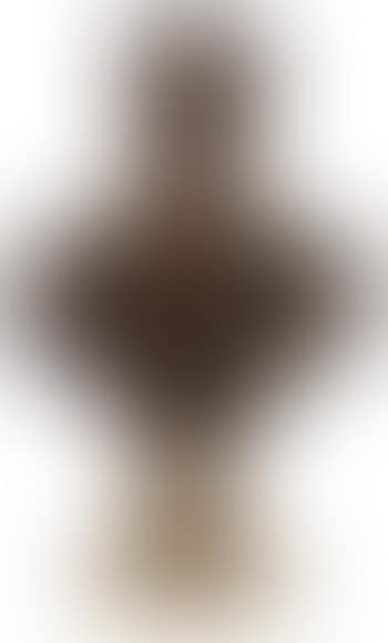 Portrait bust of Emperor Peter the Great (preview)