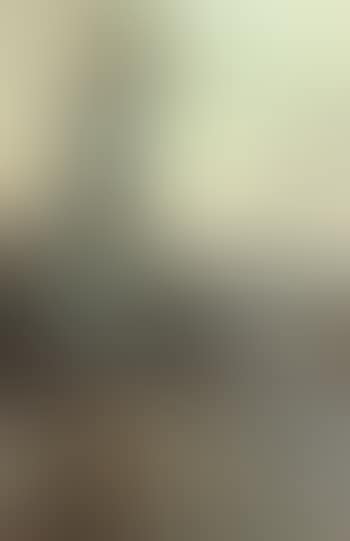 Louise loved to climb to the summit on one of the barren hills FlankinL11g the river (preview)