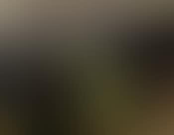 Provencal landscape (preview)
