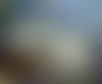 Reclining female nude (preview)