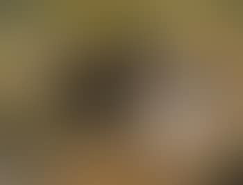 Still life with candles (preview)