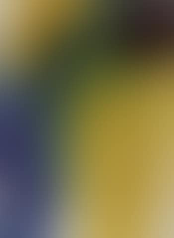 Abstract composition (preview)