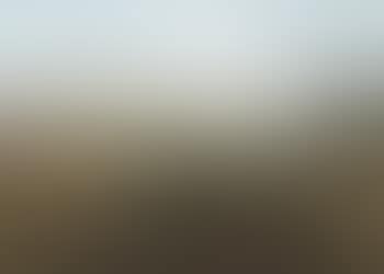 Landscape with travellers (preview)