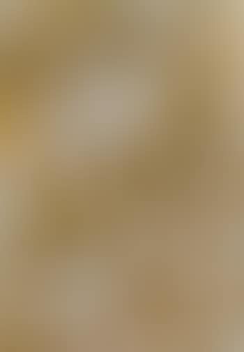 Head of a girl (preview)