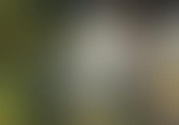 Mark landscape (preview)