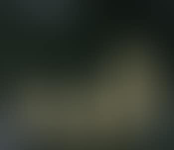 Baigneuses (preview)