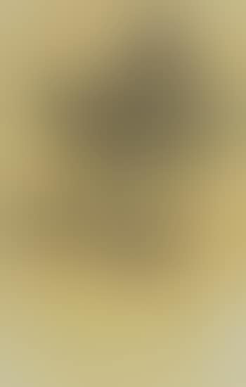Study (preview)