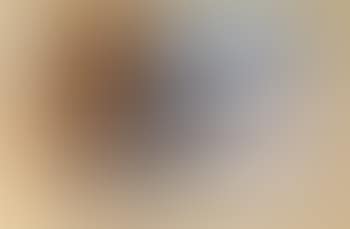 La plage (preview)