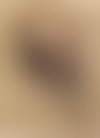 Tete de vieil homme (preview)