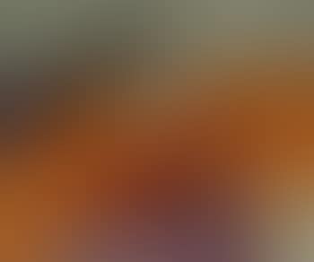 Paysage (preview)