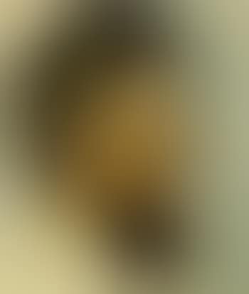 Portrait of the fisherman Hans Martin from Skagen in profile (preview)