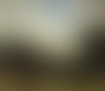 Summer landscape with trees and hills (preview)